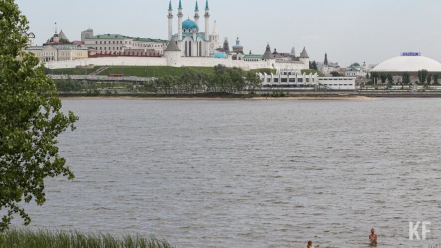 Также власти города сообщили о продолжении работ по обработке общественных пространств от клещей и грызунов.