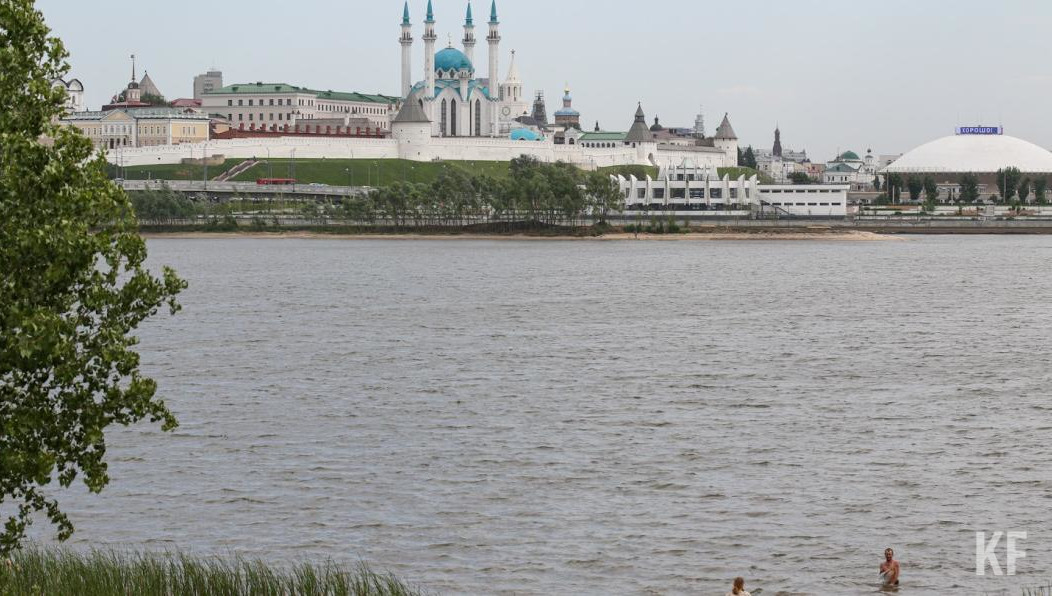 Также власти города сообщили о продолжении работ по обработке общественных пространств от клещей и грызунов.