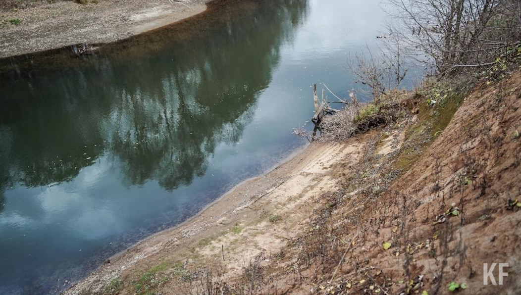 Для ограждения водоемов от людей проложат экотропы.