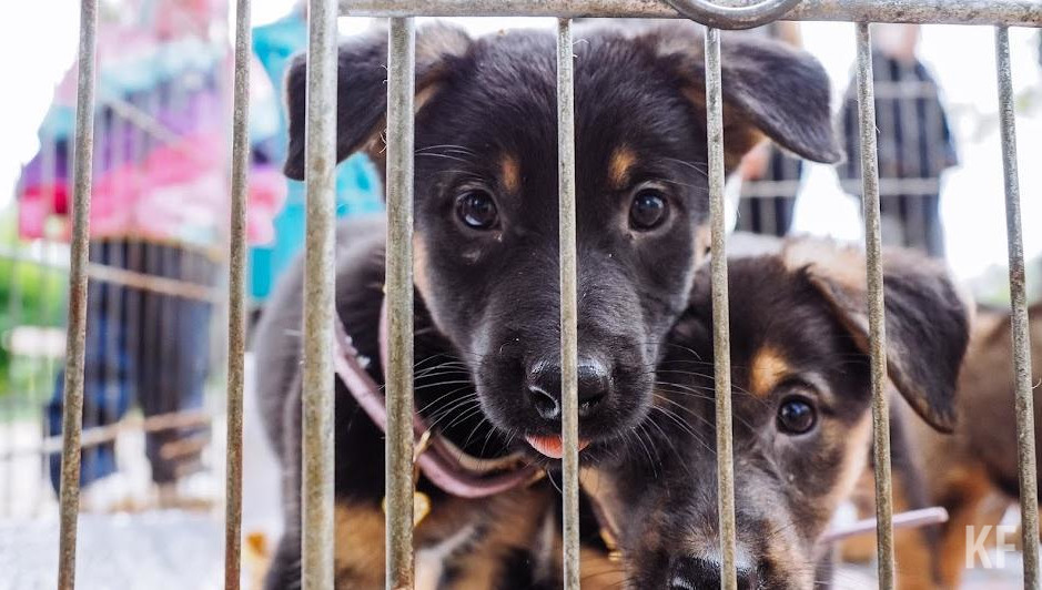 Вынесены представления об устранении нарушений.