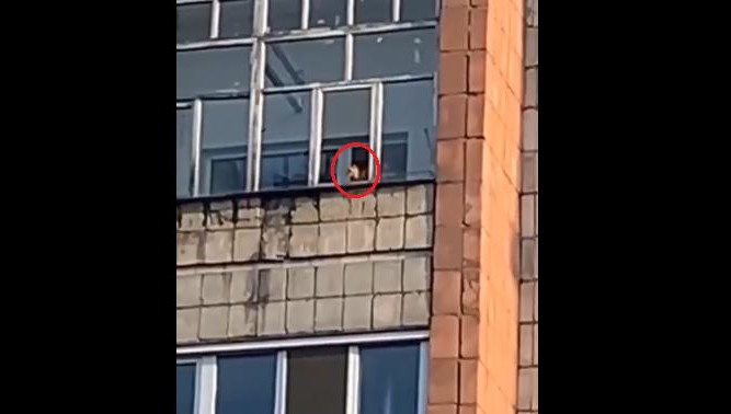 Горожане уверены