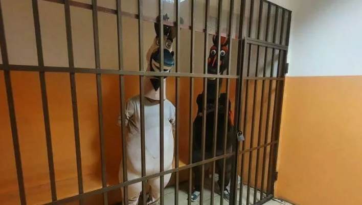 Случай произошел в Сочи