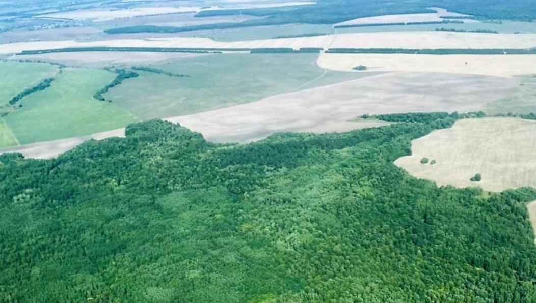 Общая протяженность маршрута – 568 км.