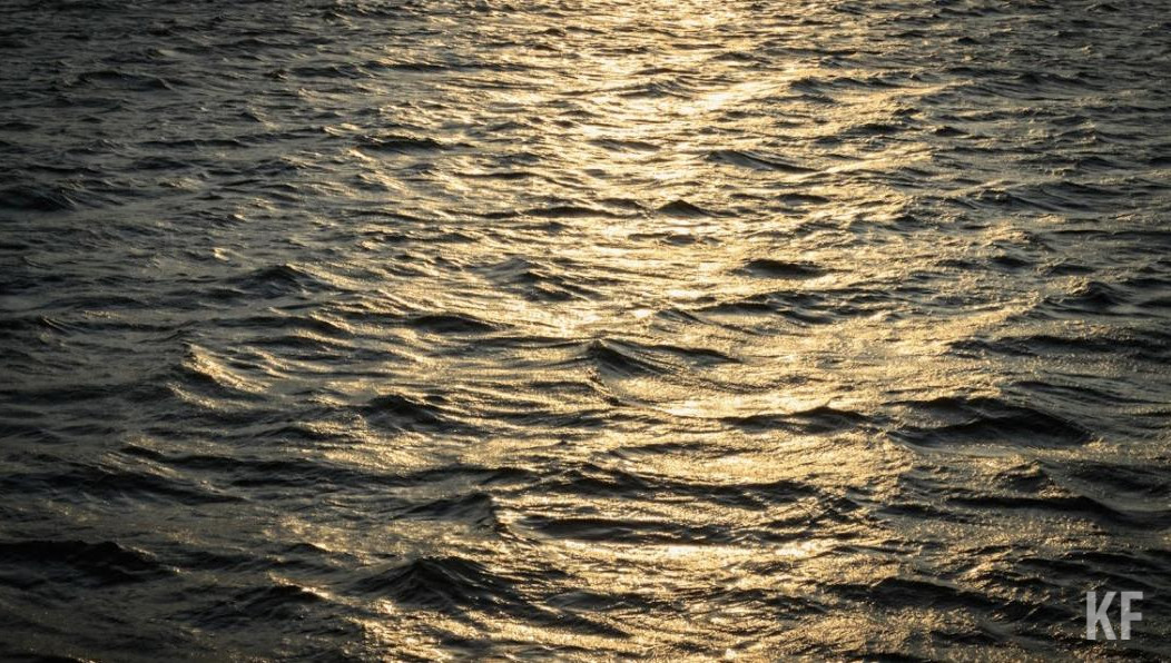 Мужчина проживал в садовом товариществе «Энергетик».