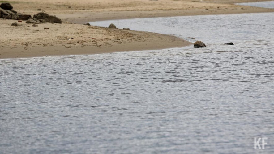 Старший научный сотрудник Фонда &laquo;Без рек как без рук&raquo; Анастасия Лисина рассказала
