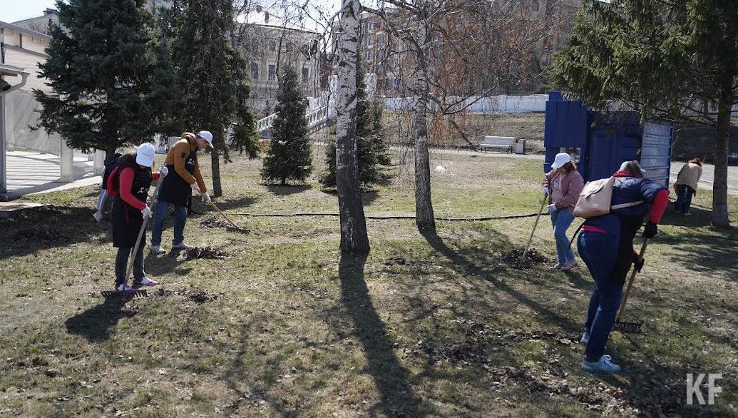 Об этом рассказал глава района.