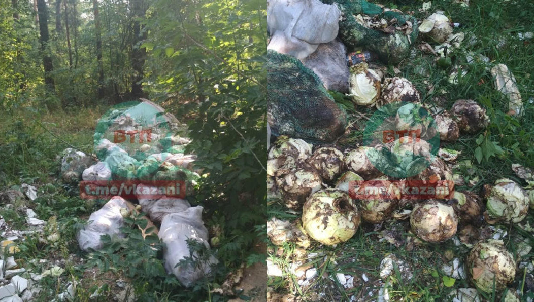 Тухлые овощи выкинули на том же месте