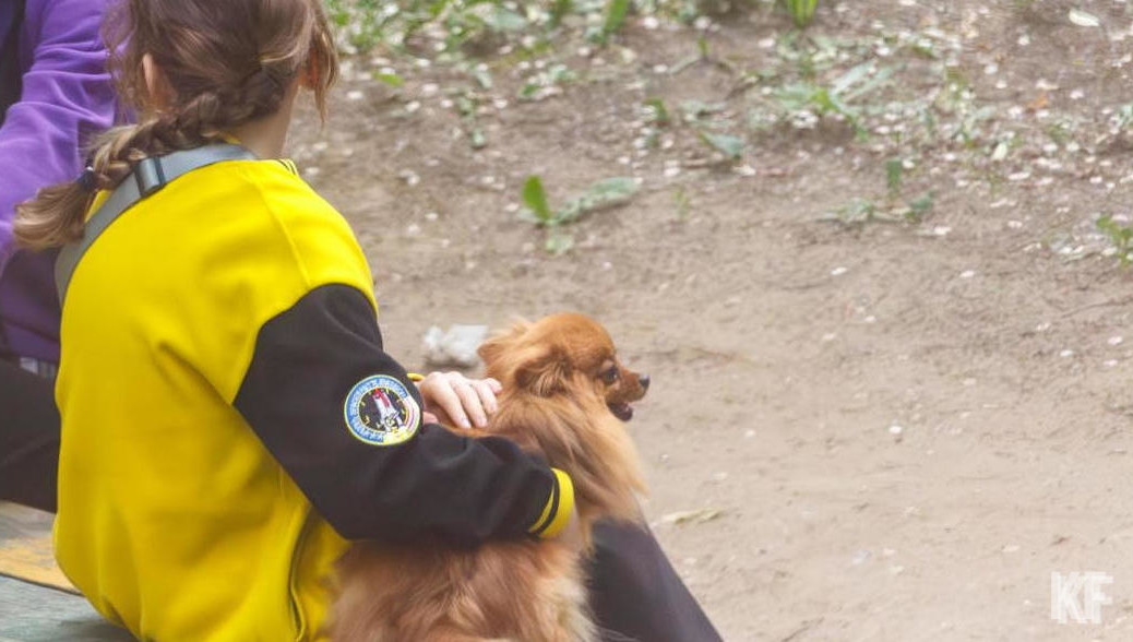 Также ее участники собрали 200 кг корма для городских приютов.