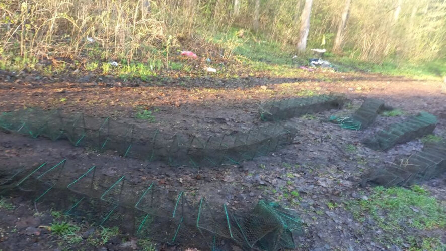 Мужчине грозит срок до двух лет.