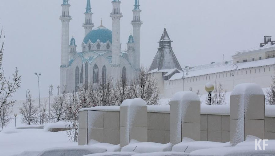 За последний год в столице Татарстана высажено более 26 тысяч деревьев и 5 миллионов цветов.