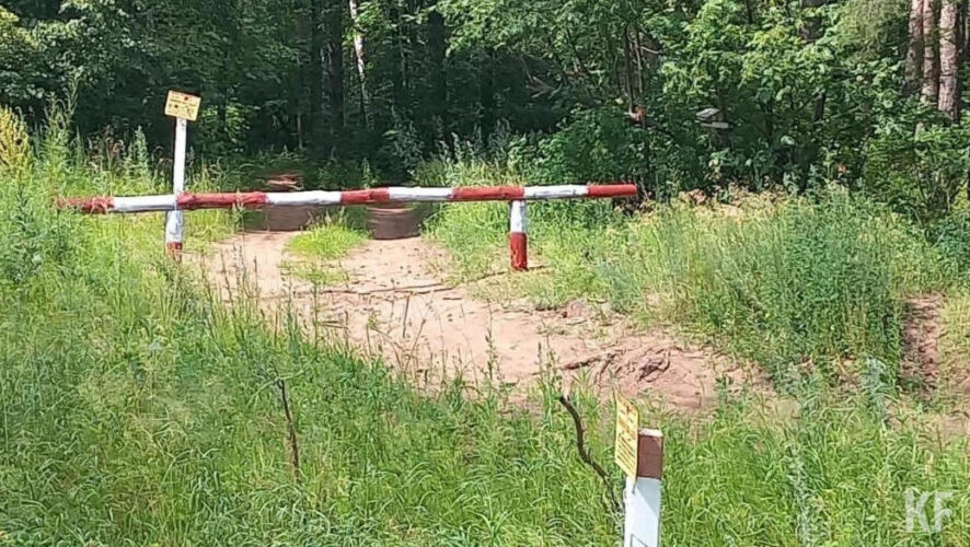 У мужчин не было разрешения на добычу охотничьих ресурсов.