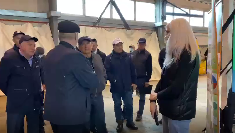 В хозяйстве выращивают их высшие репродукции