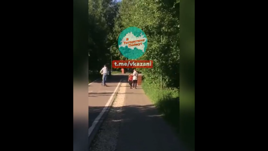 Родительница не стала пресекать жестокость ребенка