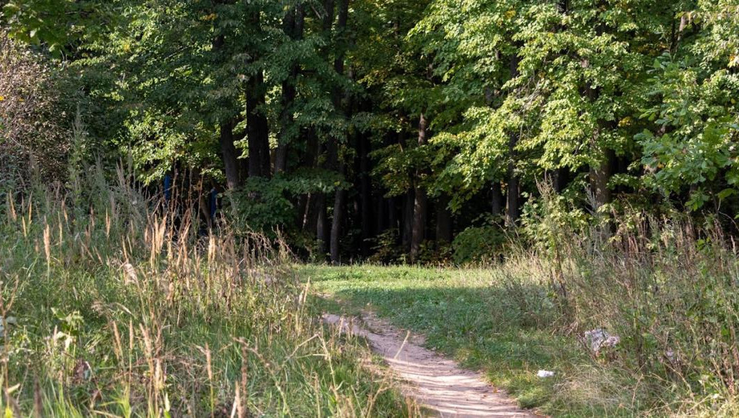 Границы участка отметят предупредительными аншлагами.