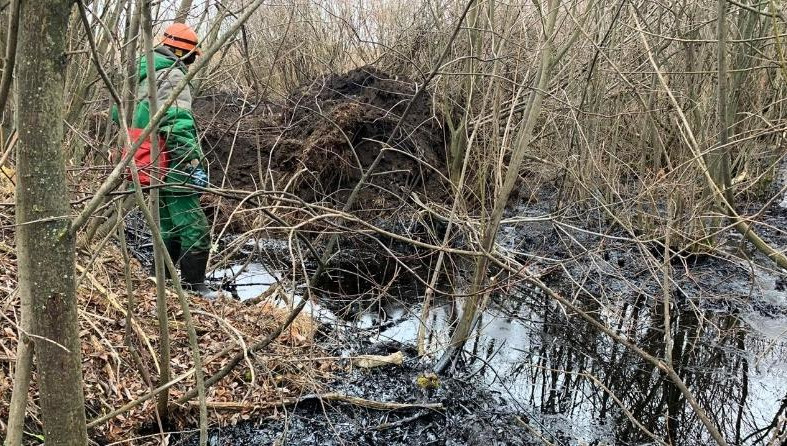 В Альметьевском районе ликвидируют последствия аварийного разлива нефти