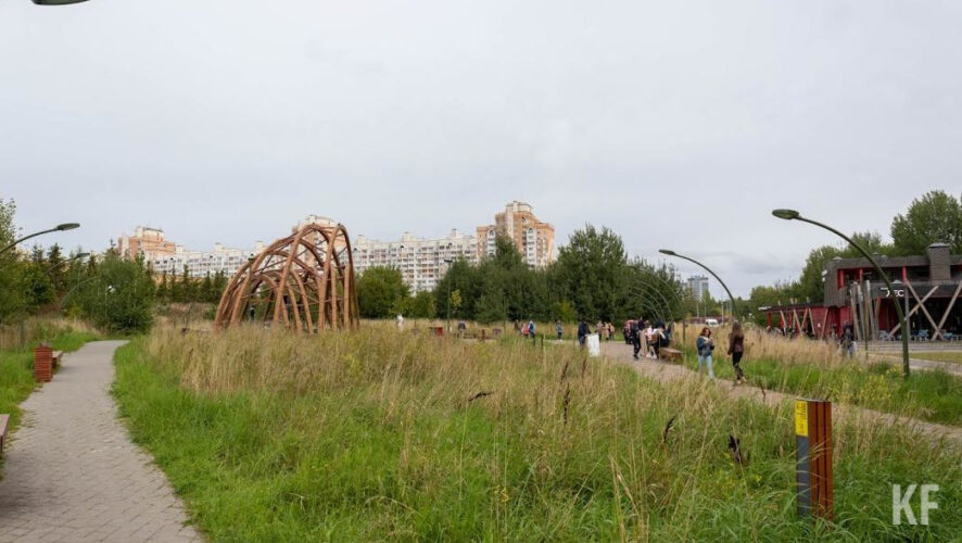 Аллергикам следует свести к минимуму возможность контакта с пыльцой.