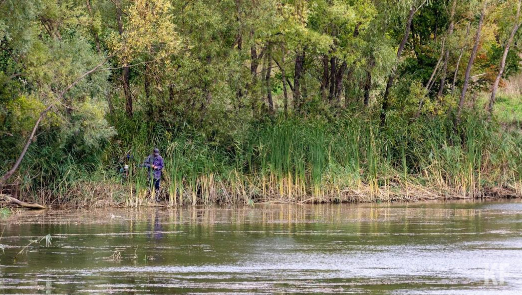 Экоактивисты спасли уникальную природу в окрестностях Челнов