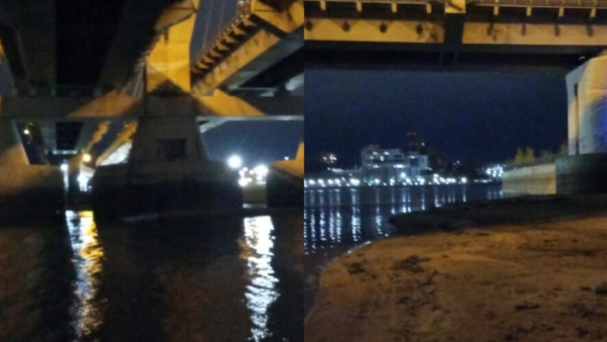 Спасатели доставили её на берег.