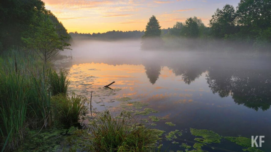Общая площадь обследованных лесов и водных объектов 3 864 гектара.