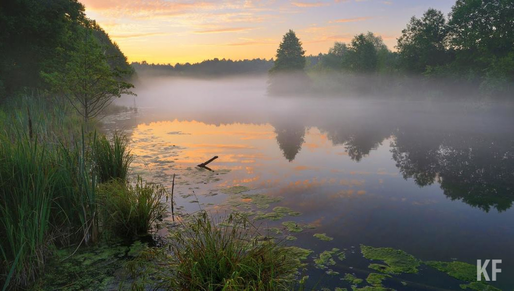 Общая площадь обследованных лесов и водных объектов 3 864 гектара.