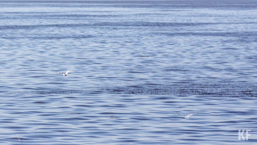 Всего в республике зарегистрировали 63 происшествия