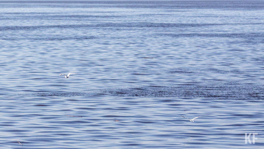 Всего в республике зарегистрировали 63 происшествия