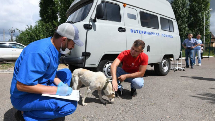 Здесь можно будет также сделать стерилизацию животного.