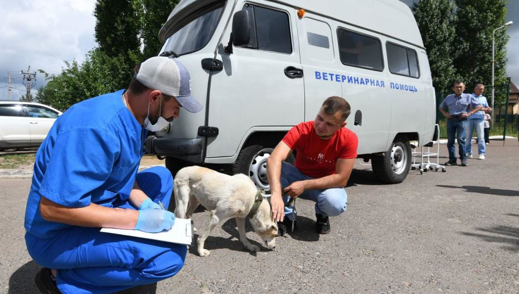 Здесь можно будет также сделать стерилизацию животного.