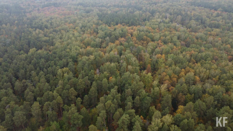 Экотропа станет частью большого маршрута &laquo;Волжская тропа&raquo;