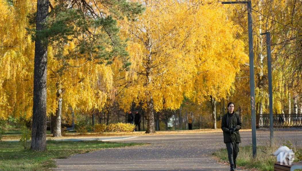 Ночью и утром в отдельных районах ожидается туман.