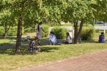 Ученые отметили