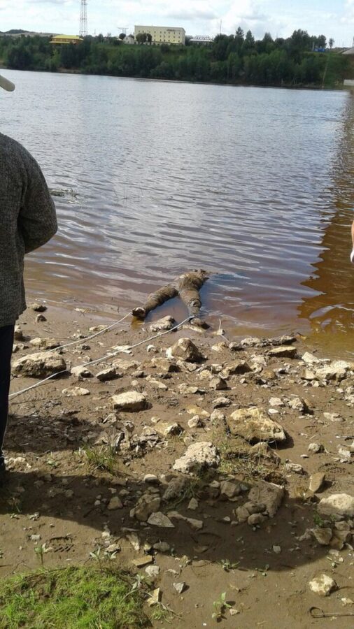 Под мостом через Вятку в Татарстане нашли тело утонувшего в мае мужчины