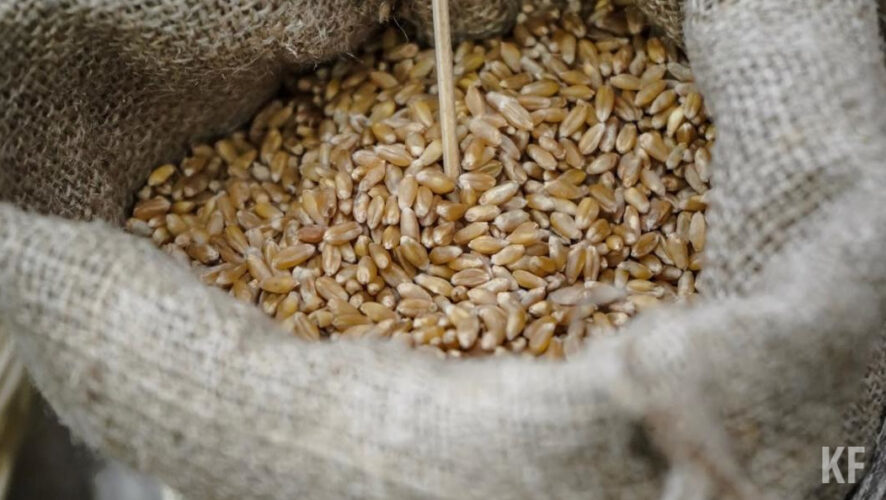 В республике уже собрали первую миллионную тонну зерна нового урожая.