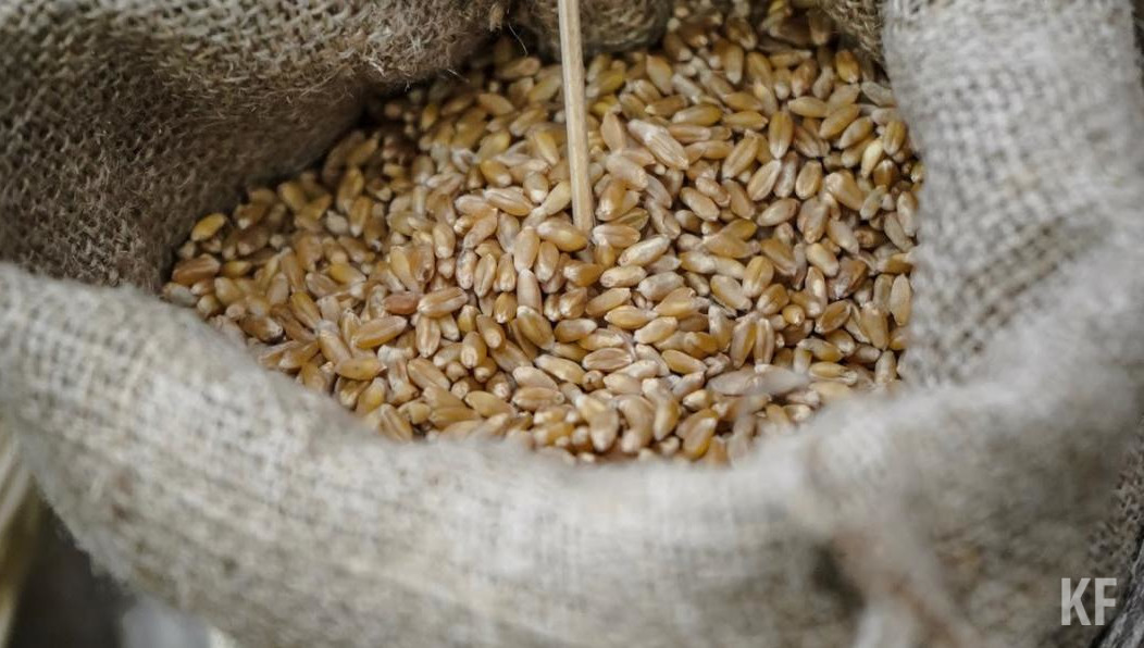 В республике уже собрали первую миллионную тонну зерна нового урожая.