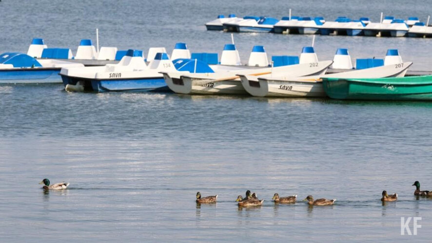 Роберт Шишкин призвал чиновников Елабуги заняться благоустройством местной набережной.