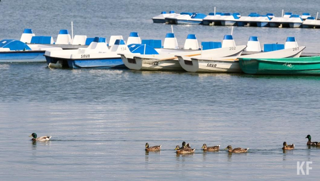 Роберт Шишкин призвал чиновников Елабуги заняться благоустройством местной набережной.