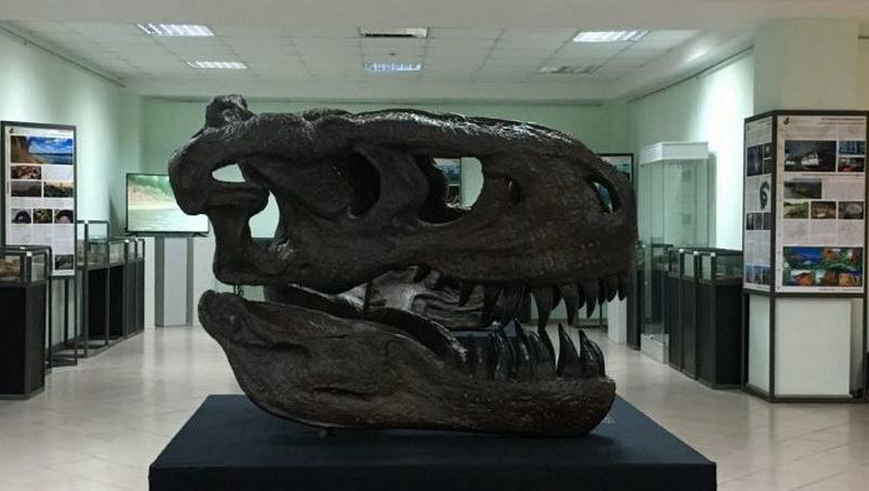 Масштабные реконструкции представлены из фондов Вятского палеонтологического музея.