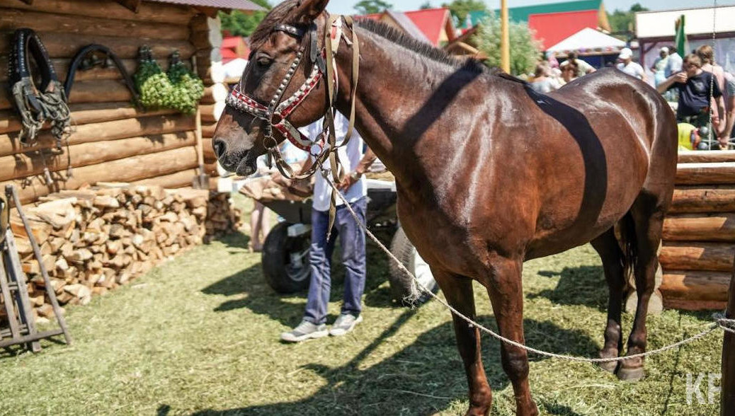 Поселок набирает популярность как центр спортивного туризма.