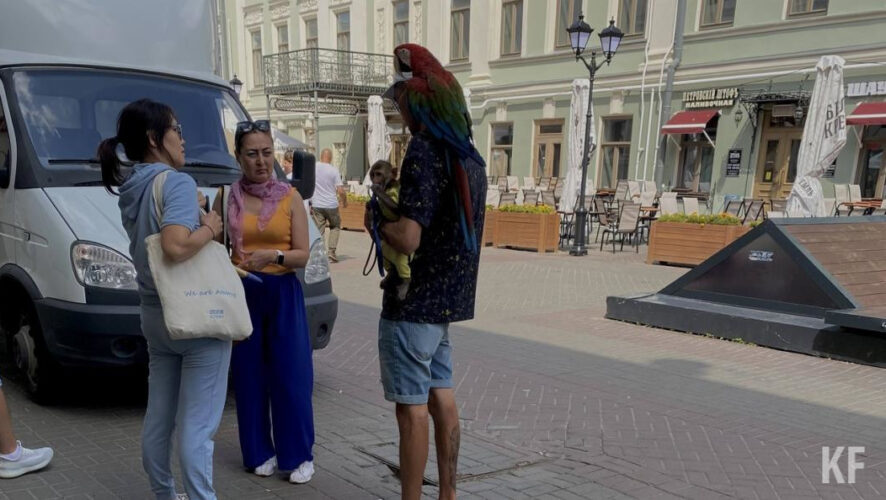 На Баумана появились фотографы с животными