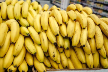 Наша страна являтся крупнейшим приобретателем бананов из Эквадора - около 20% от всего экспорта.