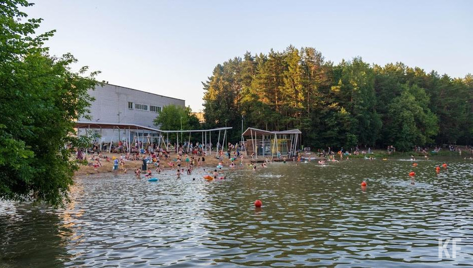 Перчатки и мешки будут предоставлены.