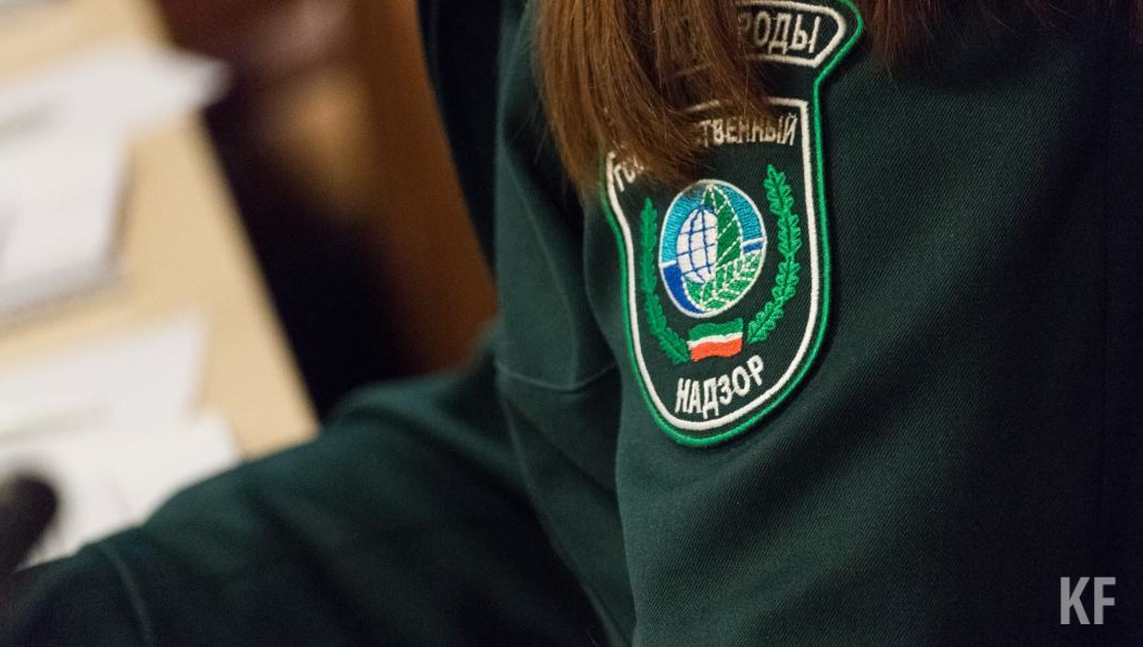 Обращение поступило на горячую линию Минэкологии РТ