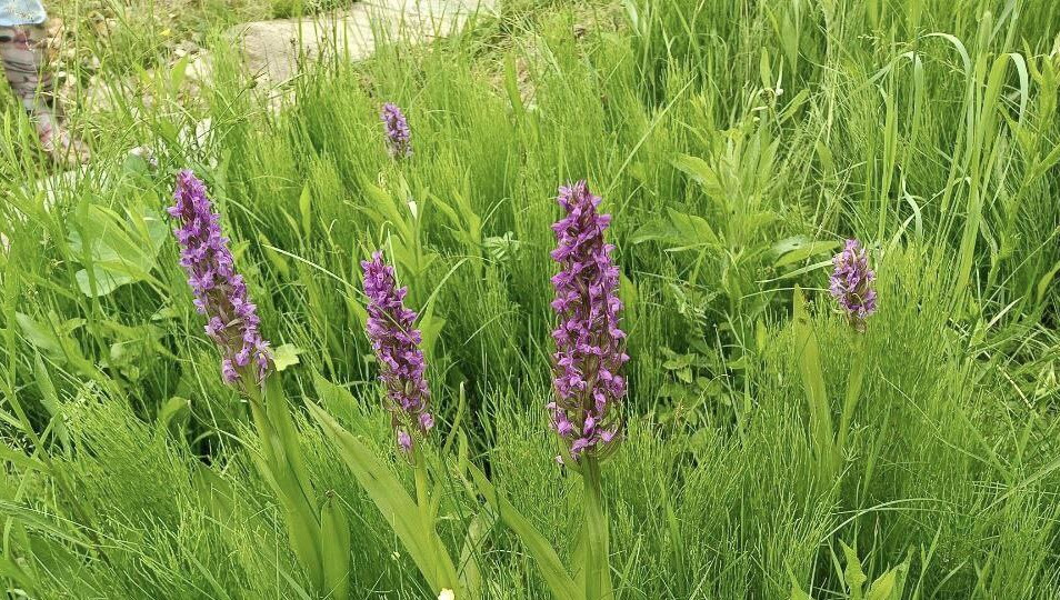 По их словам