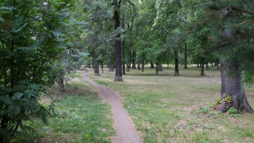 Из-за укуса змеи у мужчины мгновенно опухла и посинела рука.