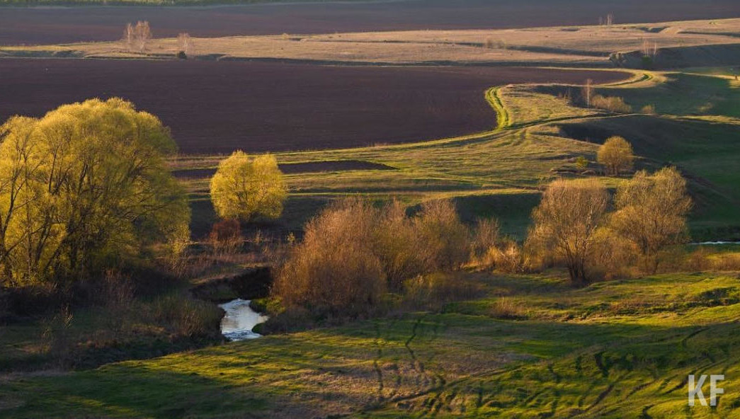 По Земельному кодексу участок могут изъять для государственных или муниципальных нужд только в строго определенных случаях.