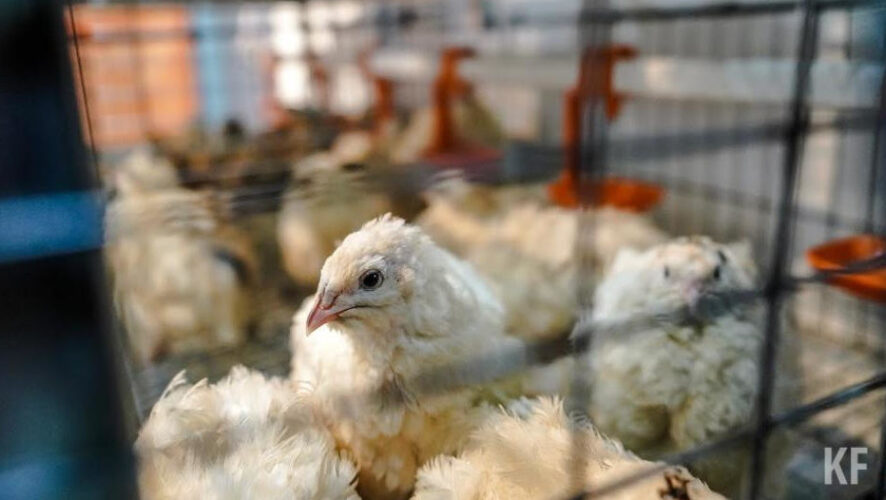 Никто из рабочих не пострадал.