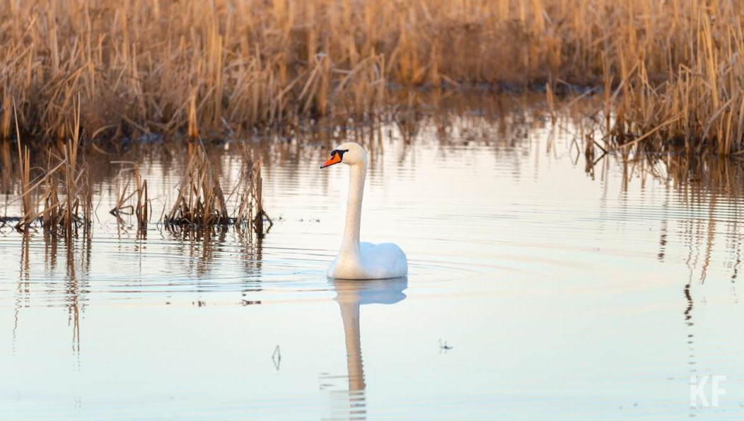 Прокуратуре удалось вернуть землю государству через суд.