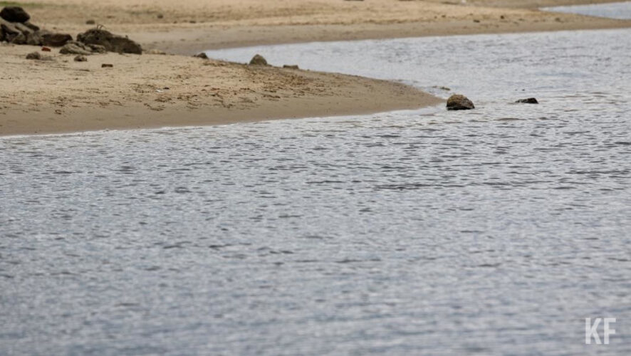 Исполнителю предстоит провести строительно-монтажные и прочие работы.