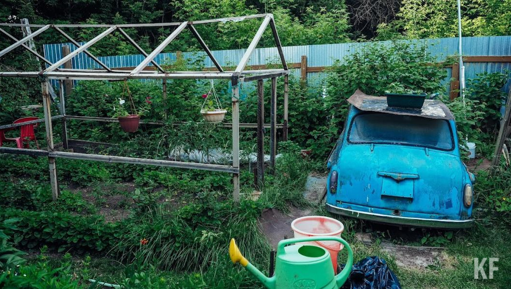 Удалять под корень надо состарившиеся ветви растений так