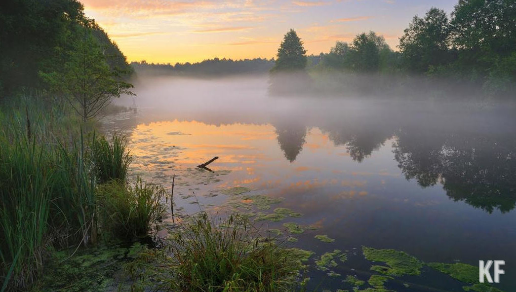 В 2024 году будет запущена экологическая тропа в северной части лесопарка «Лебяжье».